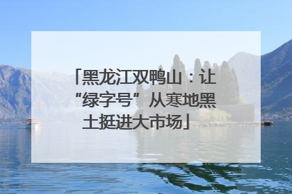 黑龙江双鸭山：让“绿字号”从寒地黑土挺进大市场