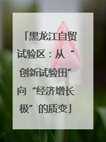 黑龙江自贸试验区：从“创新试验田”向“经济增长极”的质变