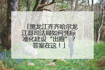 黑龙江齐齐哈尔龙江县司法局如何凭标准化建设“出圈”？答案在这！