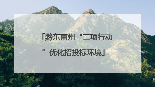 黔东南州“三项行动”优化招投标环境