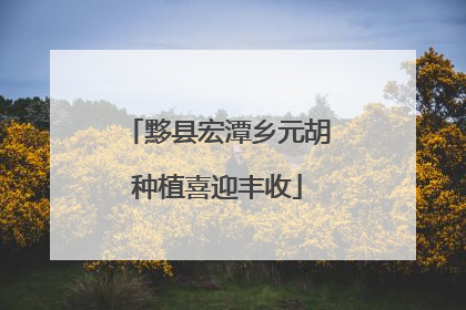 黟县宏潭乡元胡种植喜迎丰收