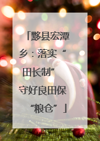 黟县宏潭乡：落实“田长制” 守好良田保“粮仓”