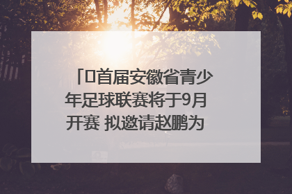 ﻿首届安徽省青少年足球联赛将于9月开赛 拟邀请赵鹏为先导赛开球