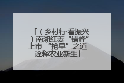 （乡村行·看振兴）南湖红菱“错峰”上市 “抢早”之道诠释农业新生