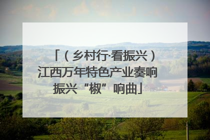 （乡村行·看振兴）江西万年特色产业奏响振兴“椒”响曲