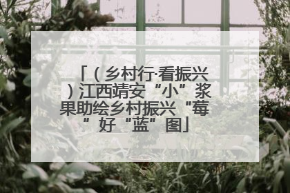 （乡村行·看振兴）江西靖安“小”浆果助绘乡村振兴“莓”好“蓝”图
