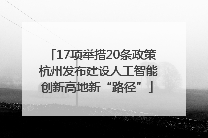 17项举措20条政策 杭州发布建设人工智能创新高地新“路径”