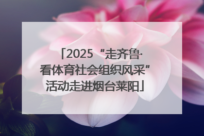 2025“走齐鲁·看体育社会组织风采”活动走进烟台莱阳