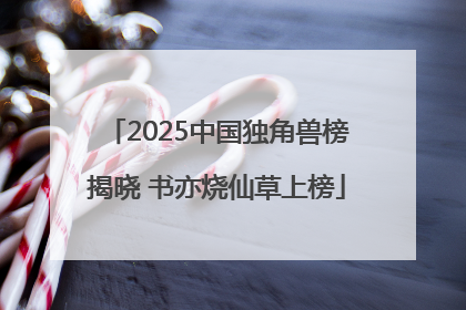 2025中国独角兽榜揭晓 书亦烧仙草上榜