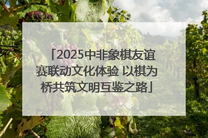 2025中非象棋友谊赛联动文化体验 以棋为桥共筑文明互鉴之路