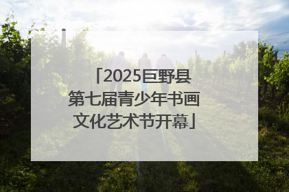 2025巨野县第七届青少年书画文化艺术节开幕