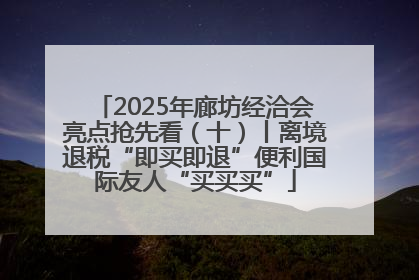 2025年廊坊经洽会亮点抢先看（十）丨离境退税“即买即退”便利国际友人“买买买”