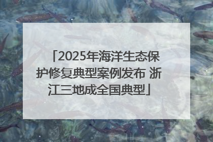 2025年海洋生态保护修复典型案例发布 浙江三地成全国典型