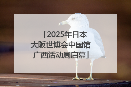 2025年日本大阪世博会中国馆广西活动周启幕