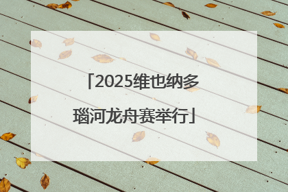 2025维也纳多瑙河龙舟赛举行