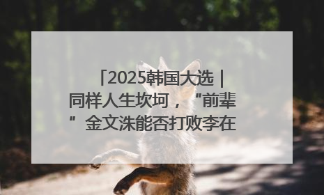 2025韩国大选｜同样人生坎坷，“前辈”金文洙能否打败李在明“逆风翻盘”？