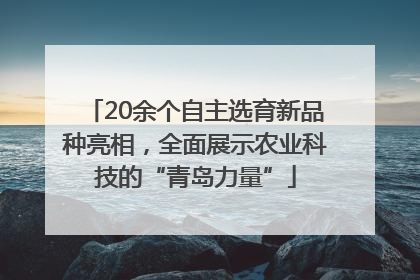 20余个自主选育新品种亮相，全面展示农业科技的“青岛力量”
