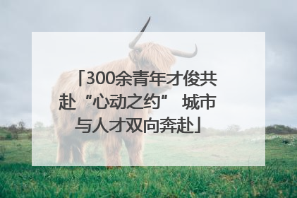 300余青年才俊共赴“心动之约” 城市与人才双向奔赴
