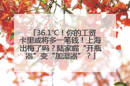 36.1℃！你的工资卡里或将多一笔钱！上海出梅了吗？陆家嘴“开瓶器”变“加湿器”？