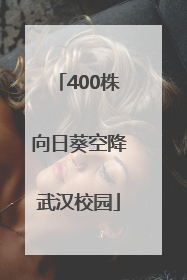 400株向日葵空降武汉校园