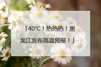 40℃！热热热！黑龙江发布高温预报！