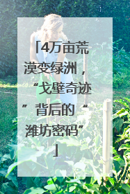 4万亩荒漠变绿洲，“戈壁奇迹”背后的“潍坊密码”