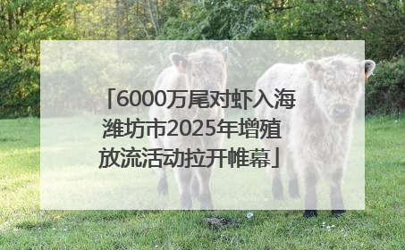 6000万尾对虾入海 潍坊市2025年增殖放流活动拉开帷幕