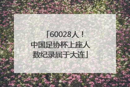 60028人！中国足协杯上座人数纪录属于大连