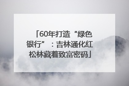 60年打造“绿色银行”：吉林通化红松林藏着致富密码