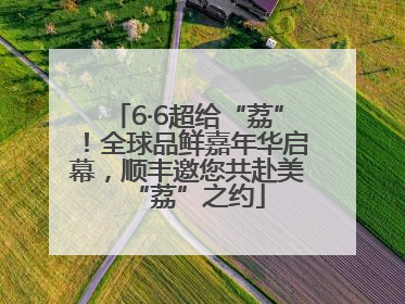 6·6超给“荔”！全球品鲜嘉年华启幕，顺丰邀您共赴美“荔”之约
