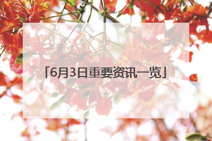 6月3日重要资讯一览