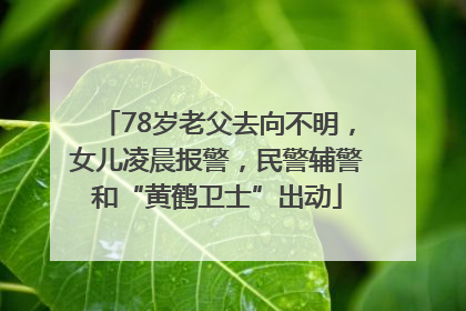 78岁老父去向不明，女儿凌晨报警，民警辅警和“黄鹤卫士”出动