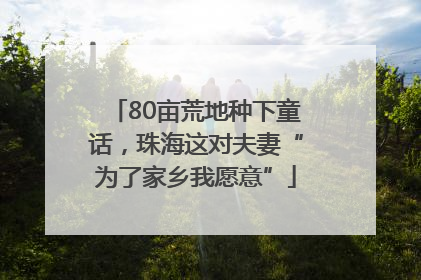 80亩荒地种下童话，珠海这对夫妻“为了家乡我愿意”