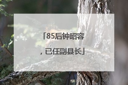 85后钟昭容，已任副县长