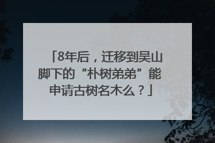8年后，迁移到吴山脚下的“朴树弟弟”能申请古树名木么？