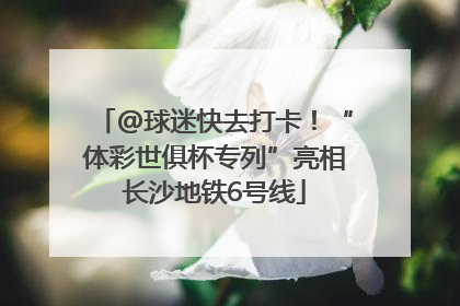 @球迷快去打卡！“体彩世俱杯专列”亮相长沙地铁6号线