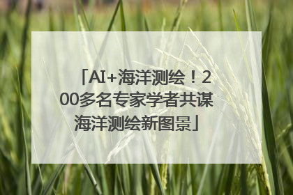 AI+海洋测绘！200多名专家学者共谋海洋测绘新图景