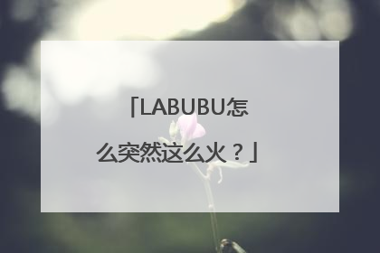 LABUBU怎么突然这么火？