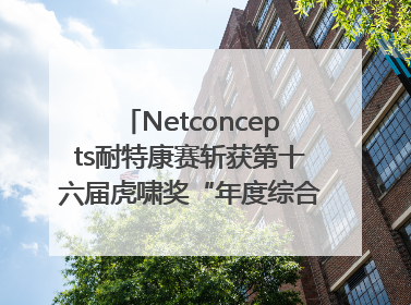 Netconcepts耐特康赛斩获第十六届虎啸奖“年度综合服务商”大奖