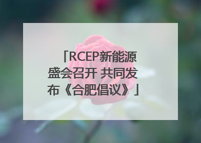 RCEP新能源盛会召开 共同发布《合肥倡议》